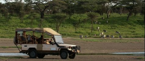 Game Drive at Lemala Ndutu Tented Camp in Serengeti National Park