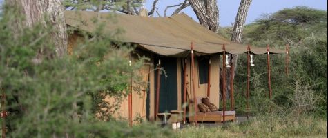 Tent Exterior at Lemala Ndutu Tented Camp in Serengeti National Park