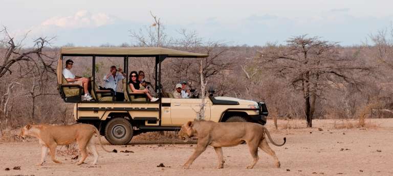 Discover Africa Safaris