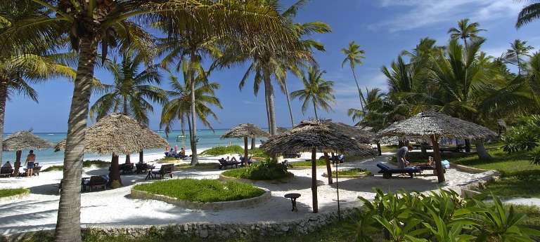 Discover Africa Safaris
