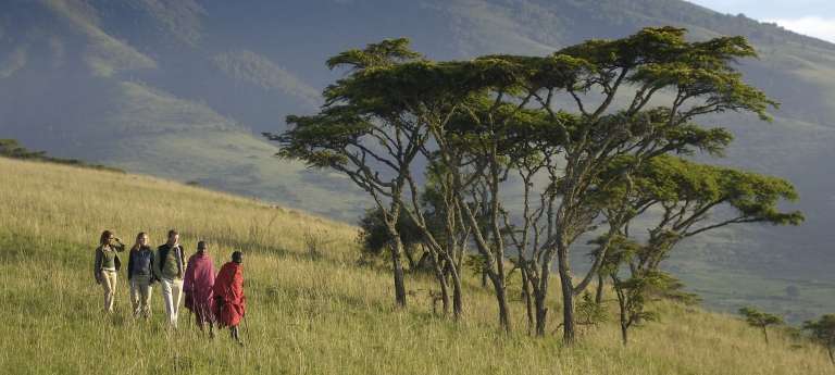 A walking safari at Ngorongoro Highlands, Tanzania