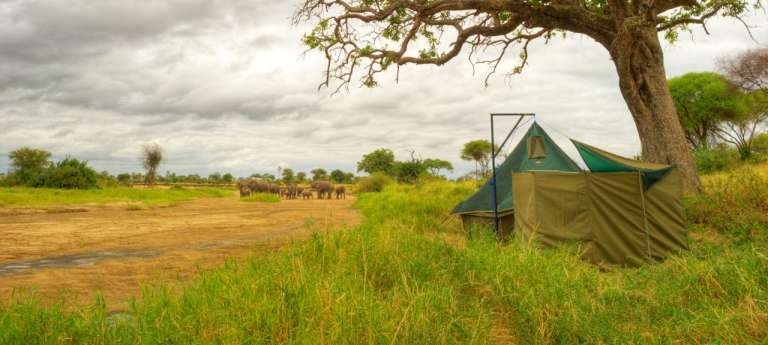 Tarangire Green Camp Exterior in Tarangire River, Tanzania