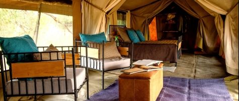 Camp Zebra