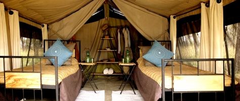 Camp Zebra