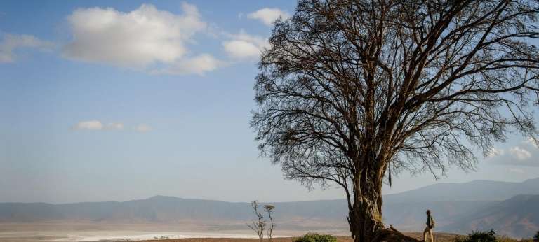 Entamanu Ngorongoro - African Wildlife Safaris