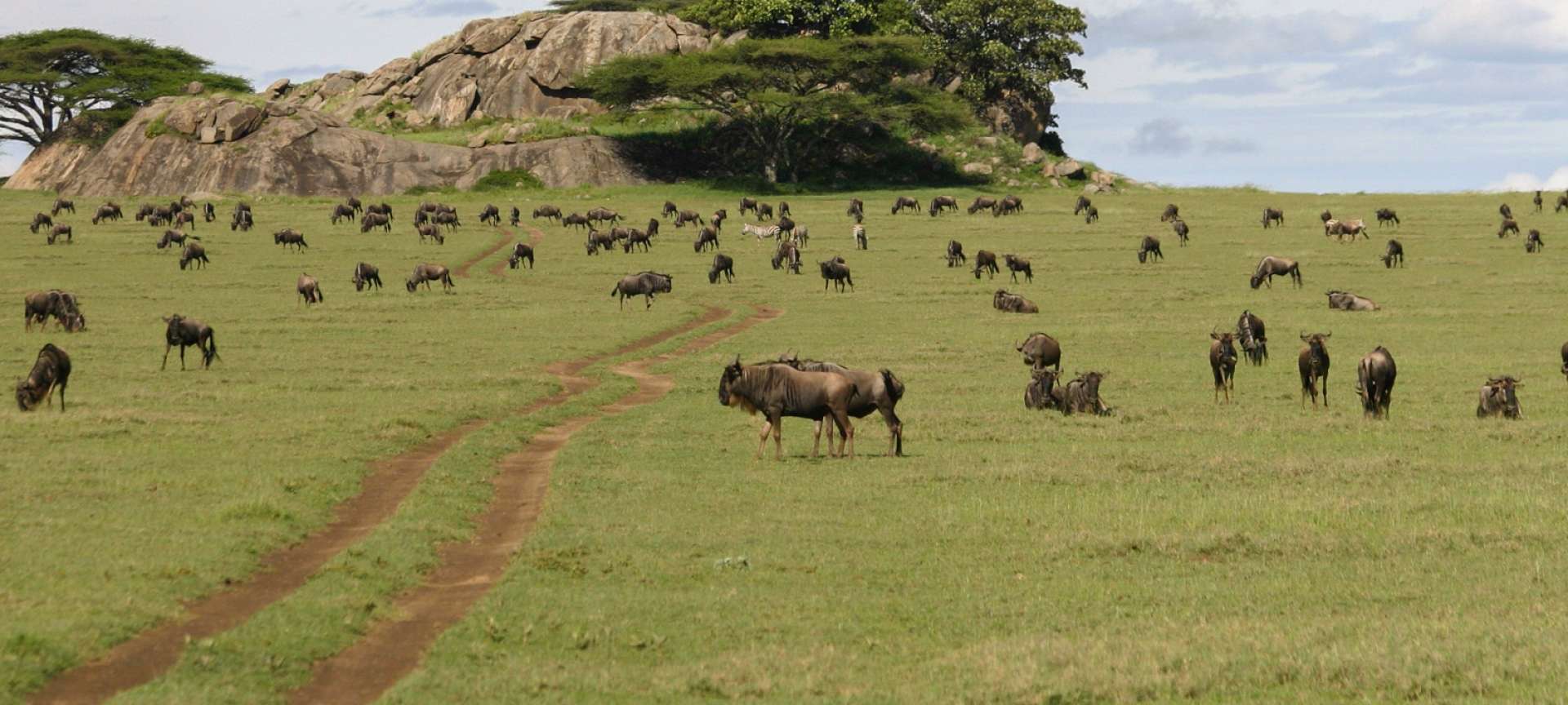 Woodlands Camp, Serengeti, Tanzania | Discover Africa Safaris