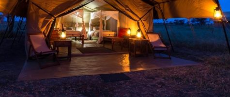 Woodlands Camp