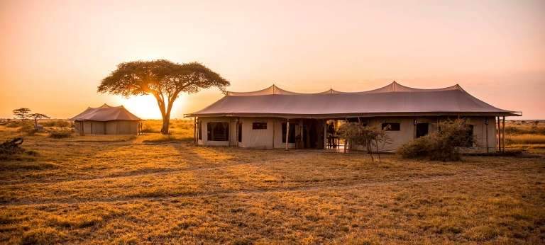 Ehlane Plains Camp, Eastern Serengeti - Africa Wildlife Safaris
