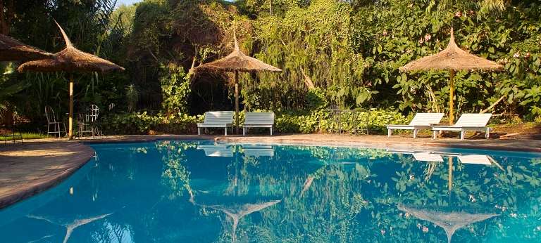 Discover Africa Safaris