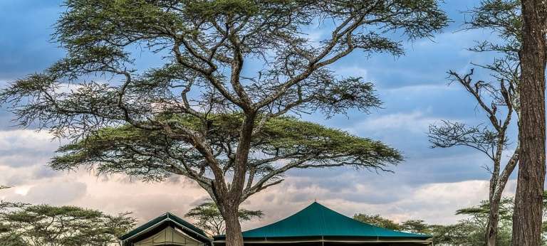 Discover Africa Safaris