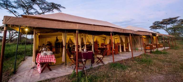 Acacia Migration Camp - Africa Wildlife Safaris