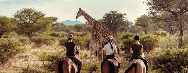 Kambaku Safari Lodge - Africa Wildlife Safaris