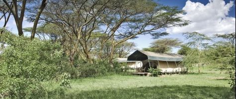 Porini Mara Camp Exterior view, Ol Kinyei, Masai Mara, Kenya