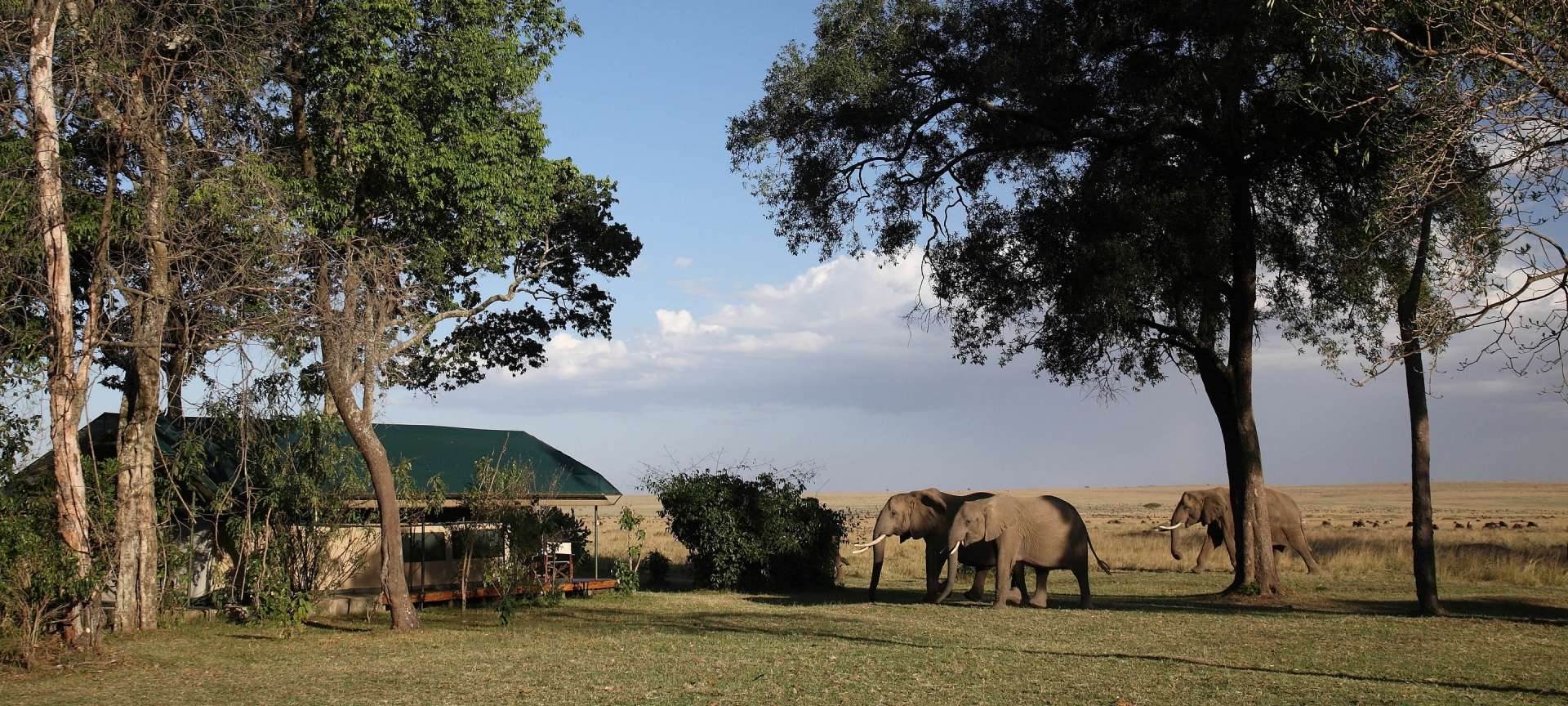 governors safari masai mara
