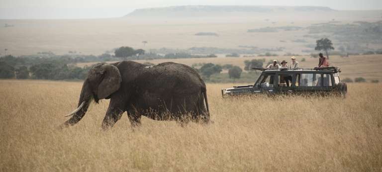 Watching an Elephant on a game drive safari at Rekero Mara Camp, Masai Mara, Kenya