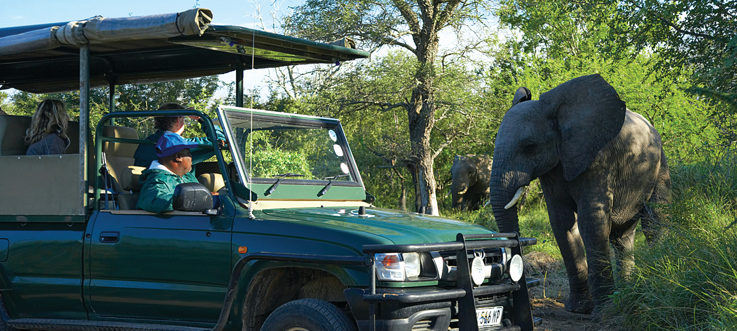 Explore Kruger National Park on a magical game drive safari | Discover ...