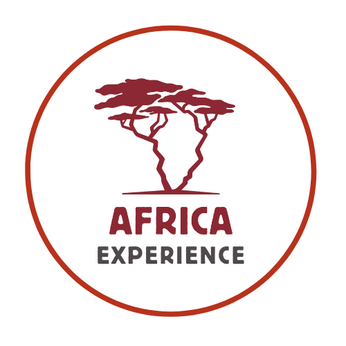 Africa Experience Logo