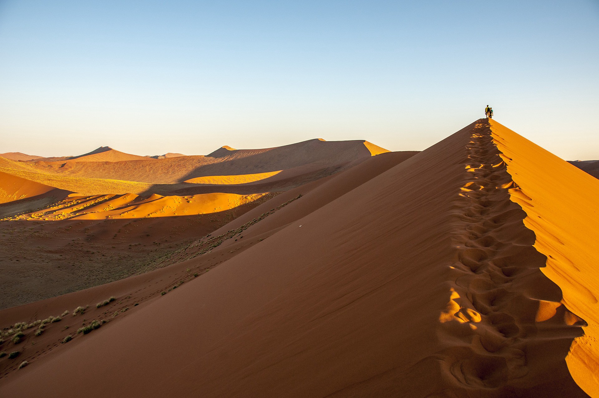 Scenic photo of dunes in the Namib Desert 