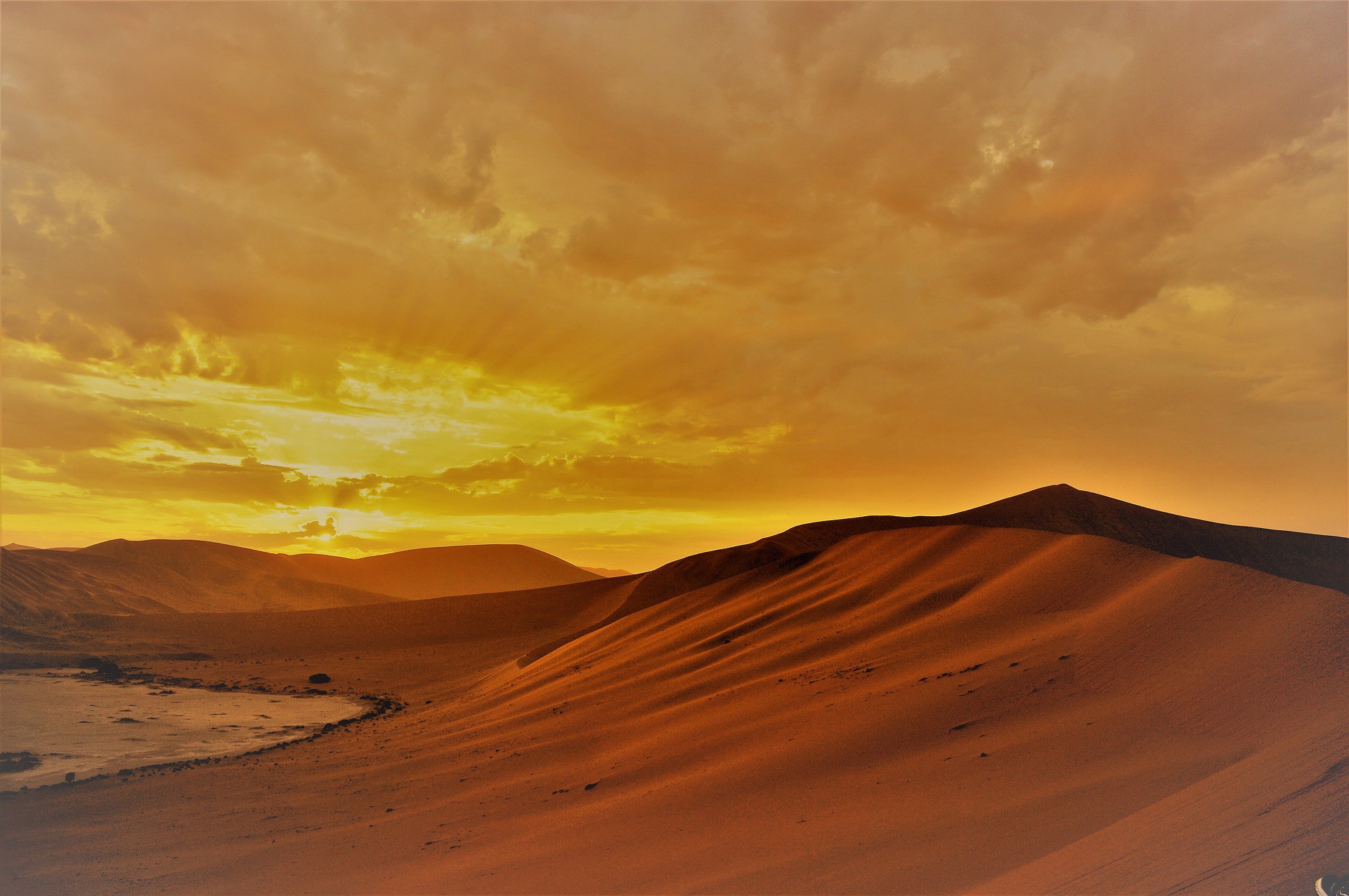 safari desert africa