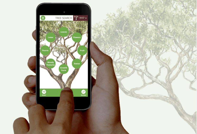 Tree app