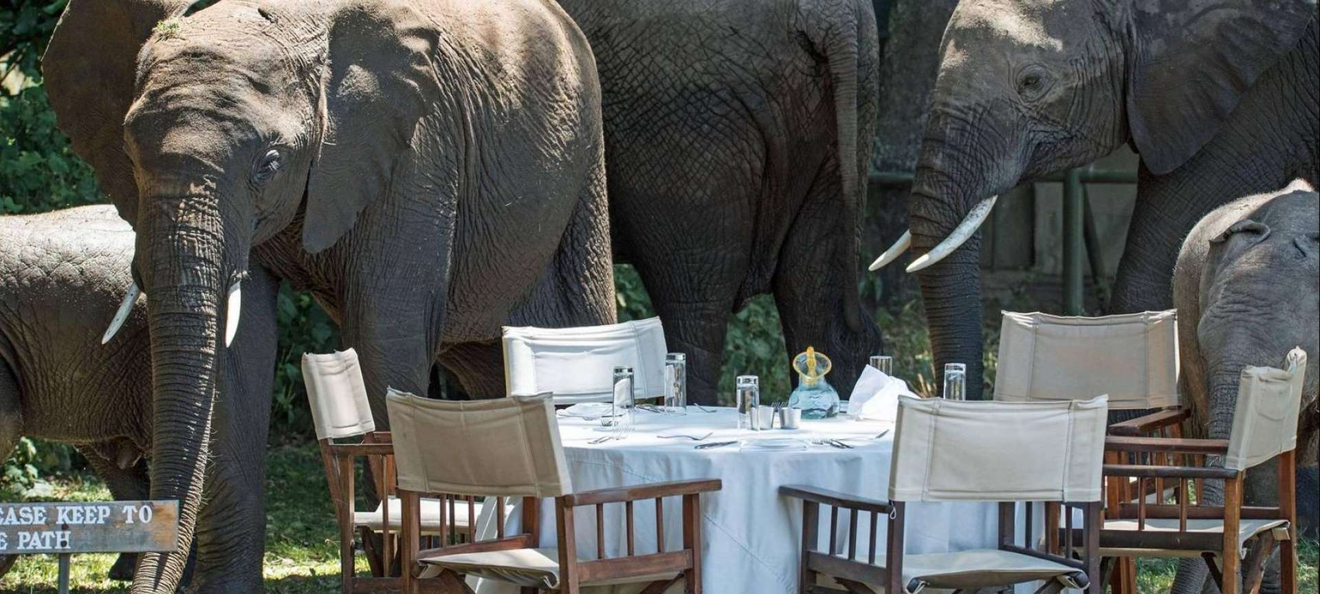 Mobile camping safaris in Africa - Africa Wildlife Safaris
