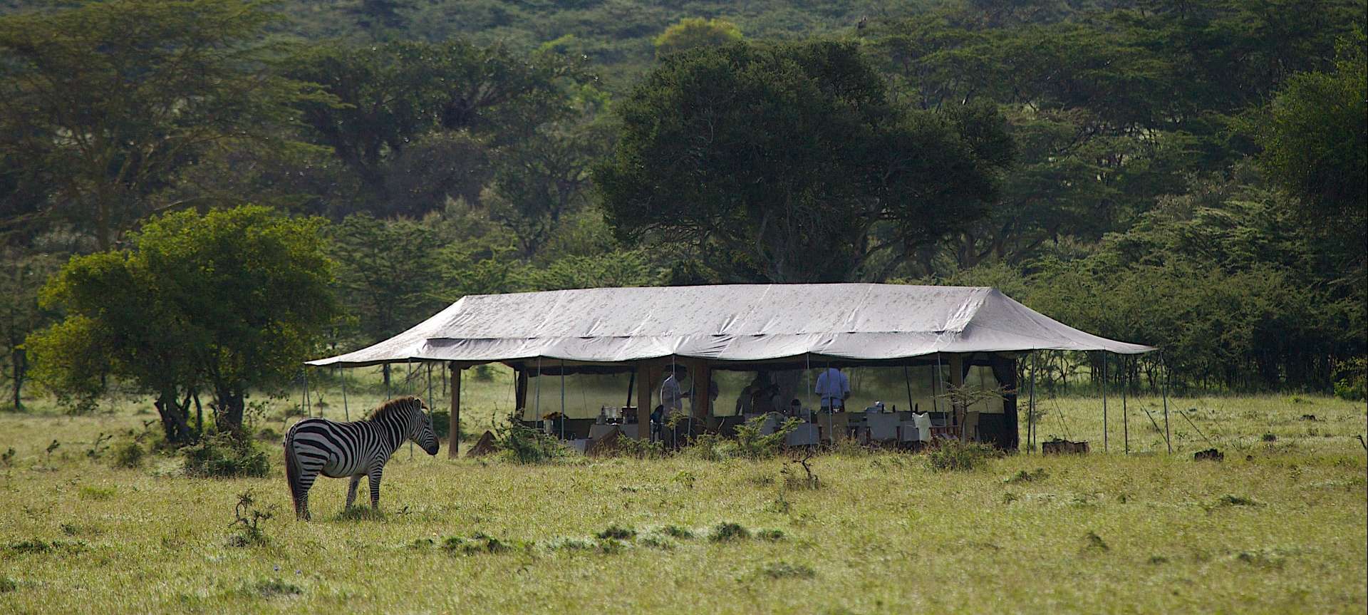 Mobile camping safaris in Africa - Africa Wildlife Safaris
