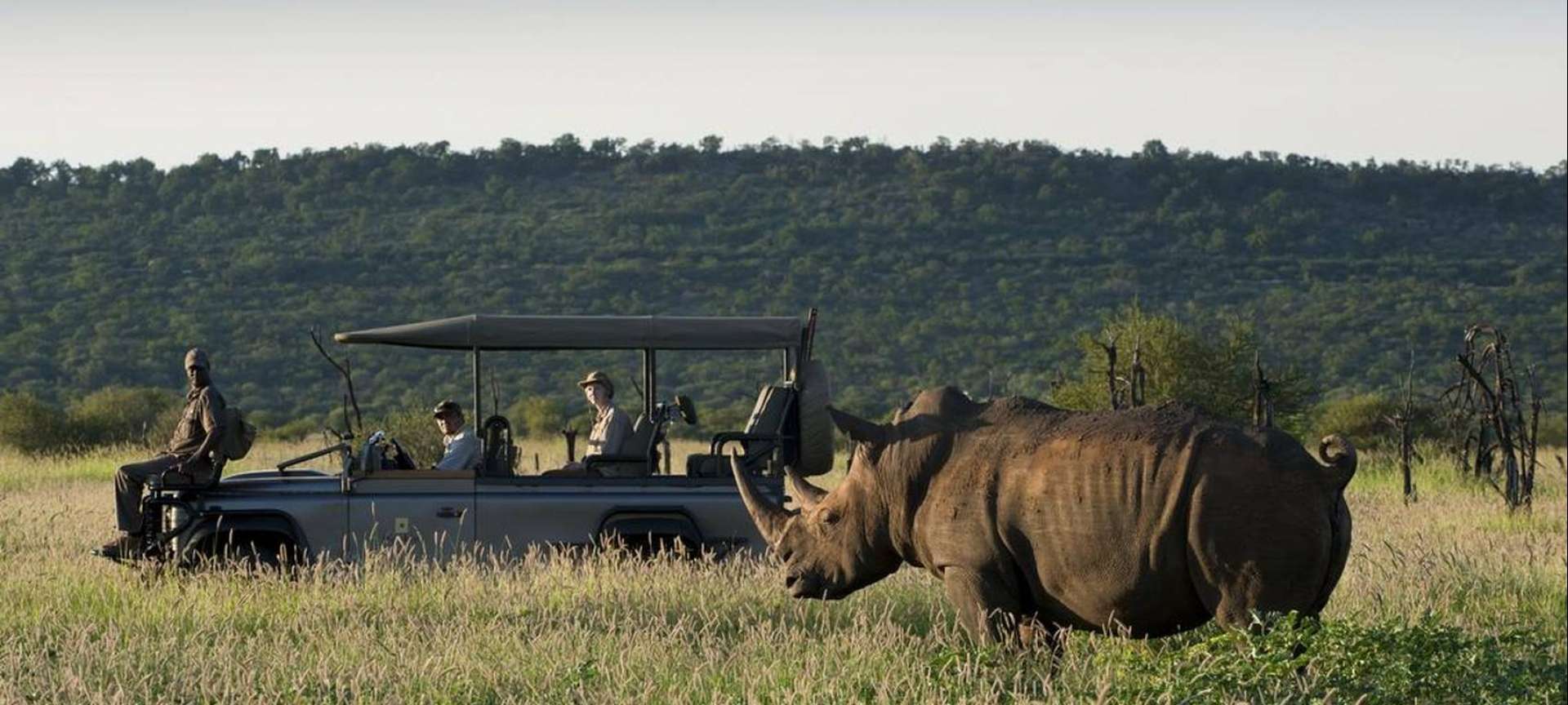 Malaria-free safaris in Africa - Africa Wildlife Safaris