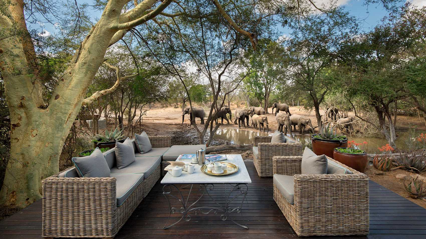 Luxury Safari In The Kruger National Park Packages And Itineraries