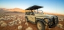Desert Safaris