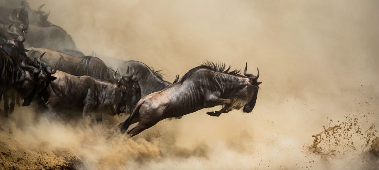 Wildebeest Migration River Crossings with Lemala Kuria Hills (4 days)