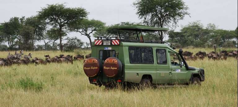 Tanzania wildebeest migration safari