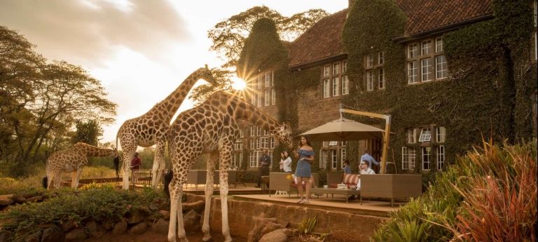Masai Mara Wildlife Discovery Safari (10 days)