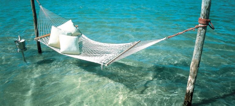 Relax on the hammock 