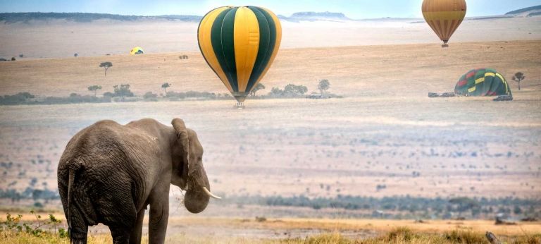 | Masai Mara Safari Adventure (6 days)