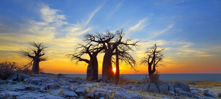 | Makgadikgadi Pans and Okavango Delta Safari Adventure (7 days)