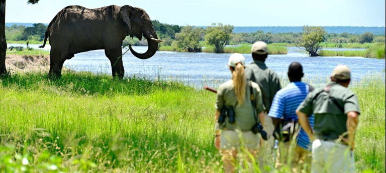 Waterfalls and Wildlife: Victoria Falls and Chobe National Park Journey (7 days)
