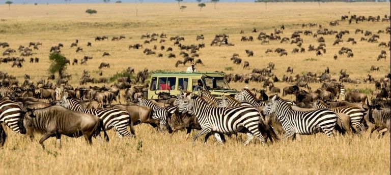 Discover Africa Safaris