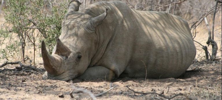 Short and Sweet Namibia Adventure (6 days)