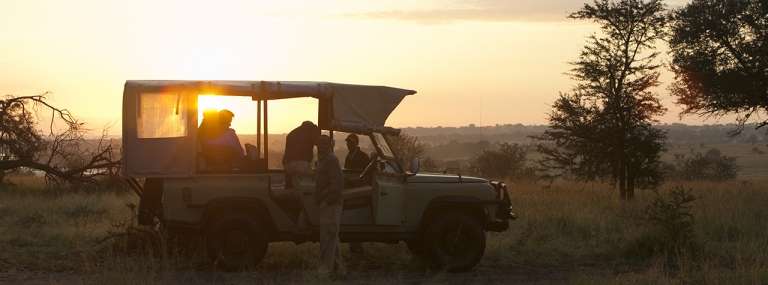 Short and Sweet Serengeti Safari