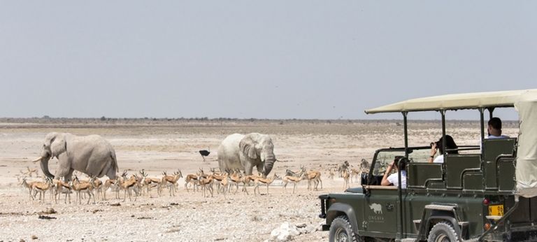 interesting facts about namibia africa