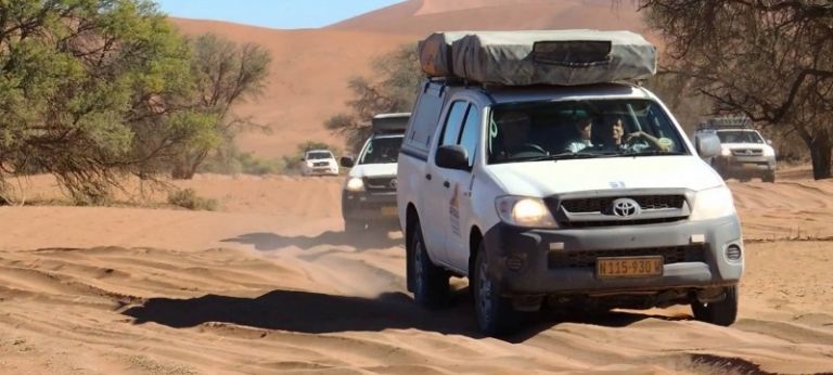 Discover Africa Safaris