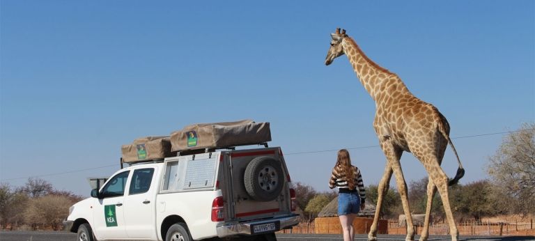 Discover Africa Safaris