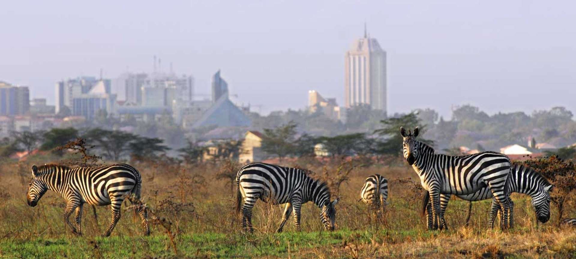 nairobi kenya safari tours