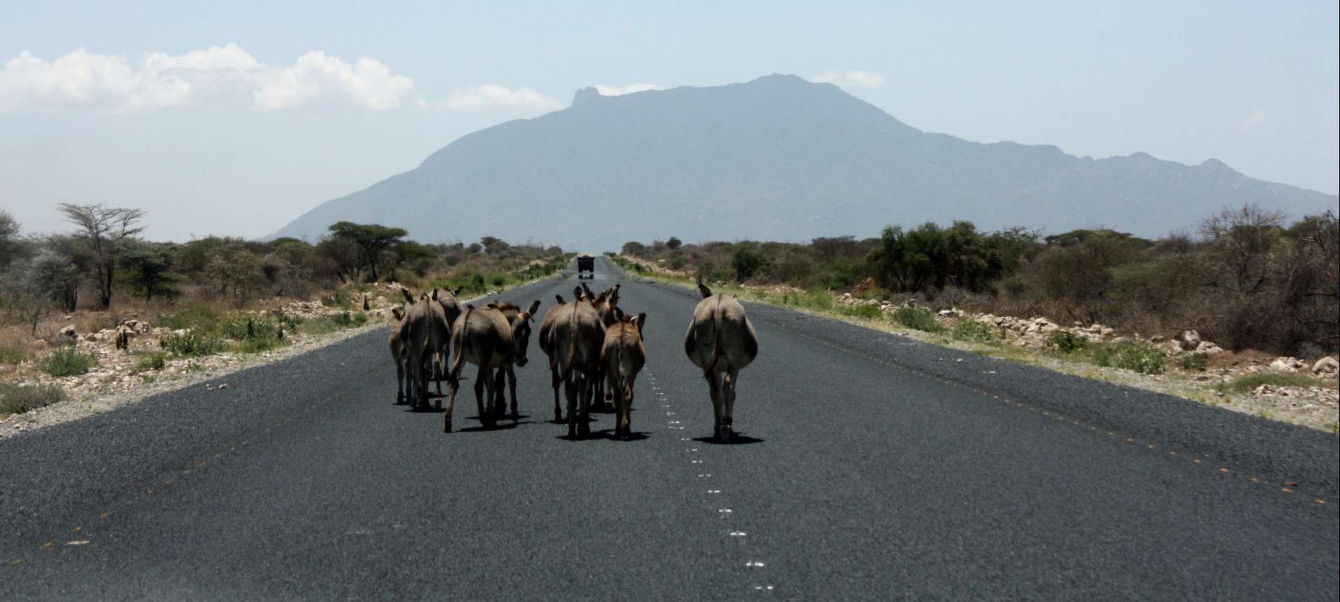 Namanga - Africa Wildlife Safaris
