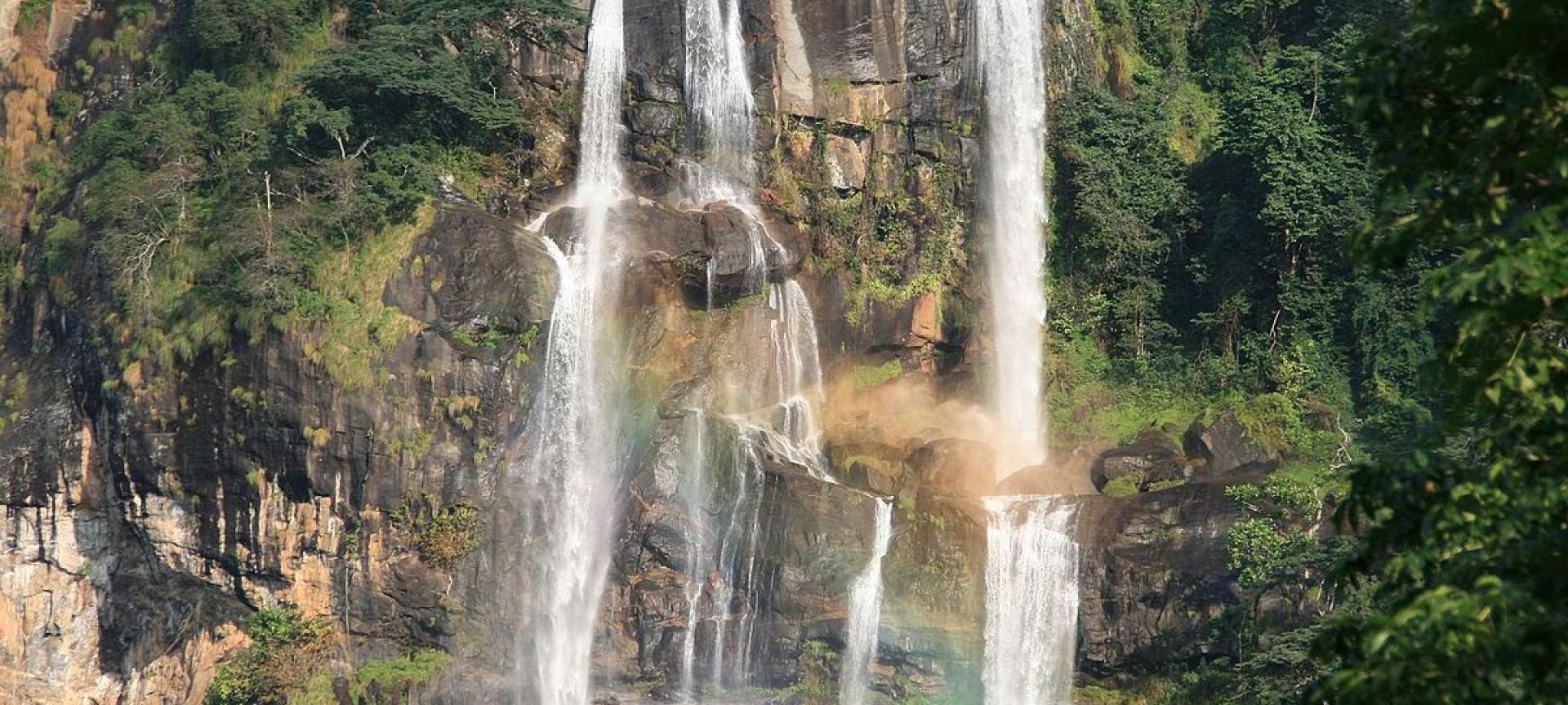 Udzungwa Mountains - Africa Wildlife Safaris