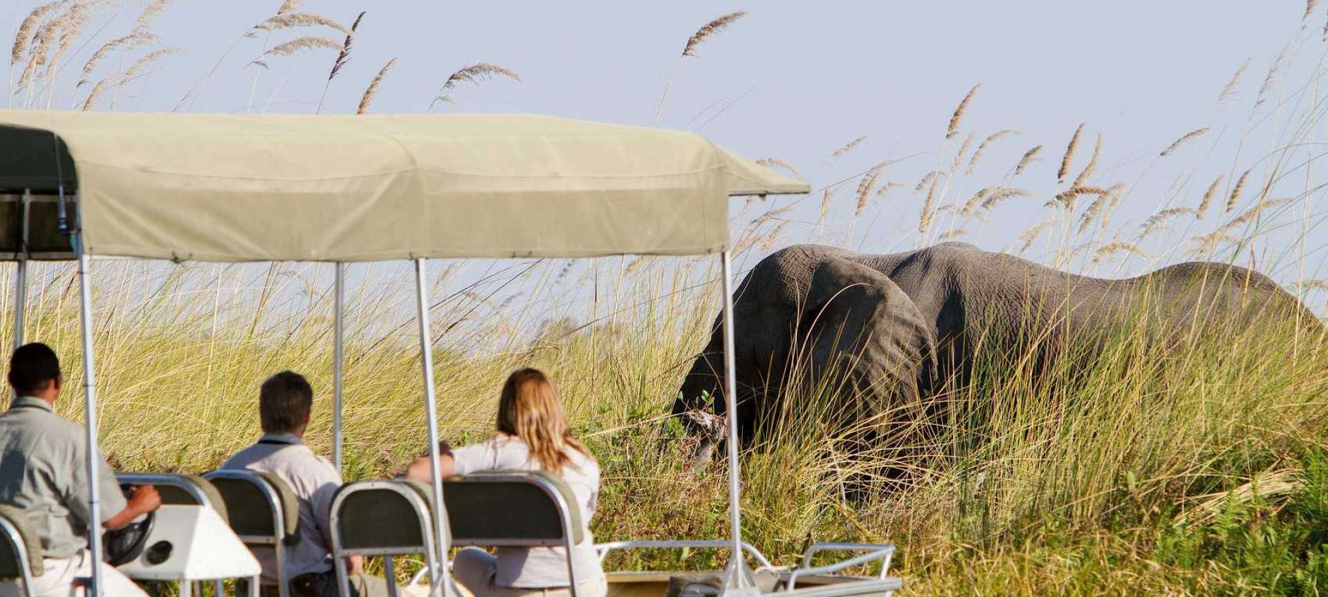 Northern Botswana - Africa Wildlife Safaris