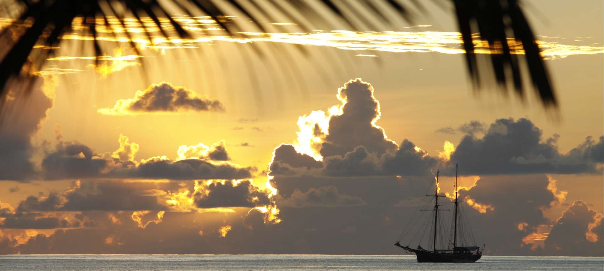 Seychelles - Africa Wildlife Safaris