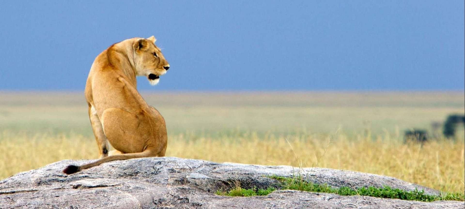 Ngorongoro Crater - Africa Wildlife Safaris