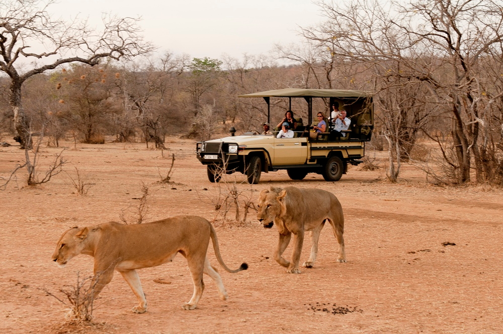 tripadvisor africa safari selous