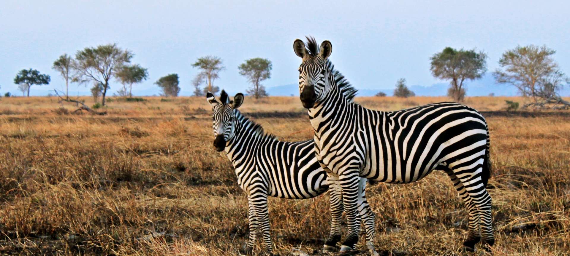 southern circuit tourism in tanzania